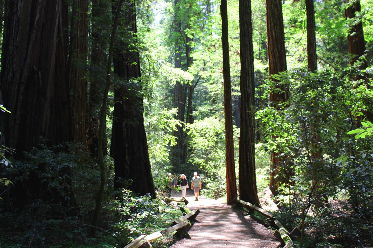 Bathing Among Redwoods. Photos by Mary Charlebois.